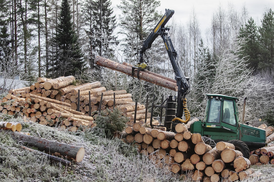 Suomen metsät ovat varttuneet, mikä on lisännyt hakkuumahdollisuuksia.