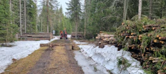 Vuoden 2023 tilastointien perusteella järeiden puutavaralajien hintojen nousu on kysyntätilanteesta johtuen loppuvuonna hiipunut. Kuitupuun ja erilaisten energiapuujakeiden kilpailu on kuitenkin jatkanut hintojen nousua. Energiapuun korjuussa kokopuu on nostanut suosiotaan.
