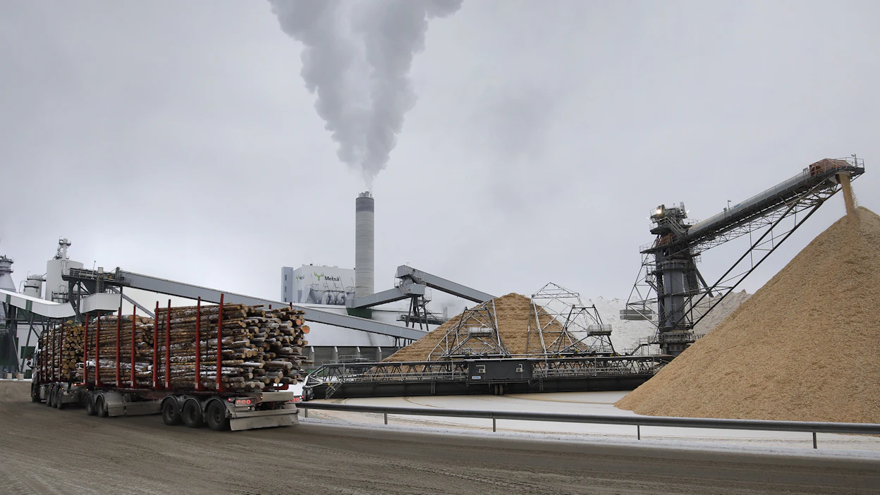 Kirjoittajien mukaan alle 18 prosenttia puusta päätyy pitkäikäisiin tuotteisiin. Kuvassa sellutehdas. Kuvituskuva.