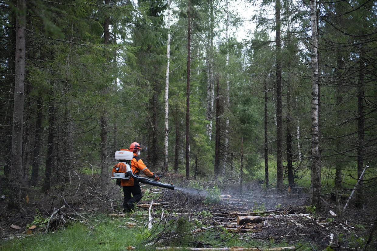 Metsänlannoituksen tukihakemukset ovat nyt käsittelyssä.