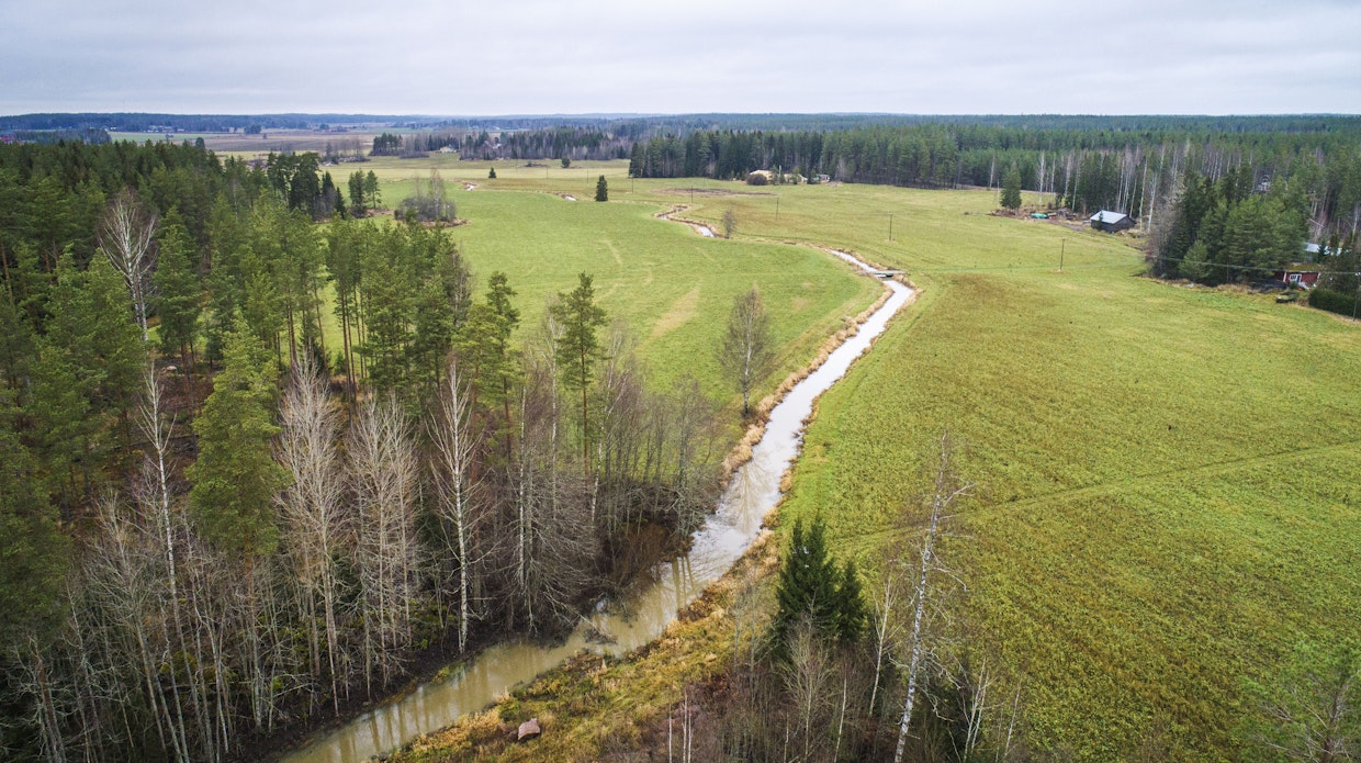 Maaseudun yritysten menestymisen kannalta on olennaista, että maaseudun palvelurakenne on kunnossa, linjaa Taina Vesanto. Arkistokuva.