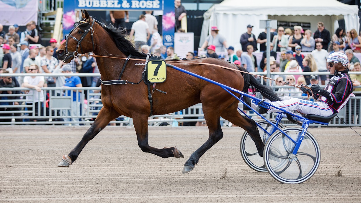 Kivekset lähtivät Tarzanin neuvosta − Axel Rudasta kehittyi menestyjä ...