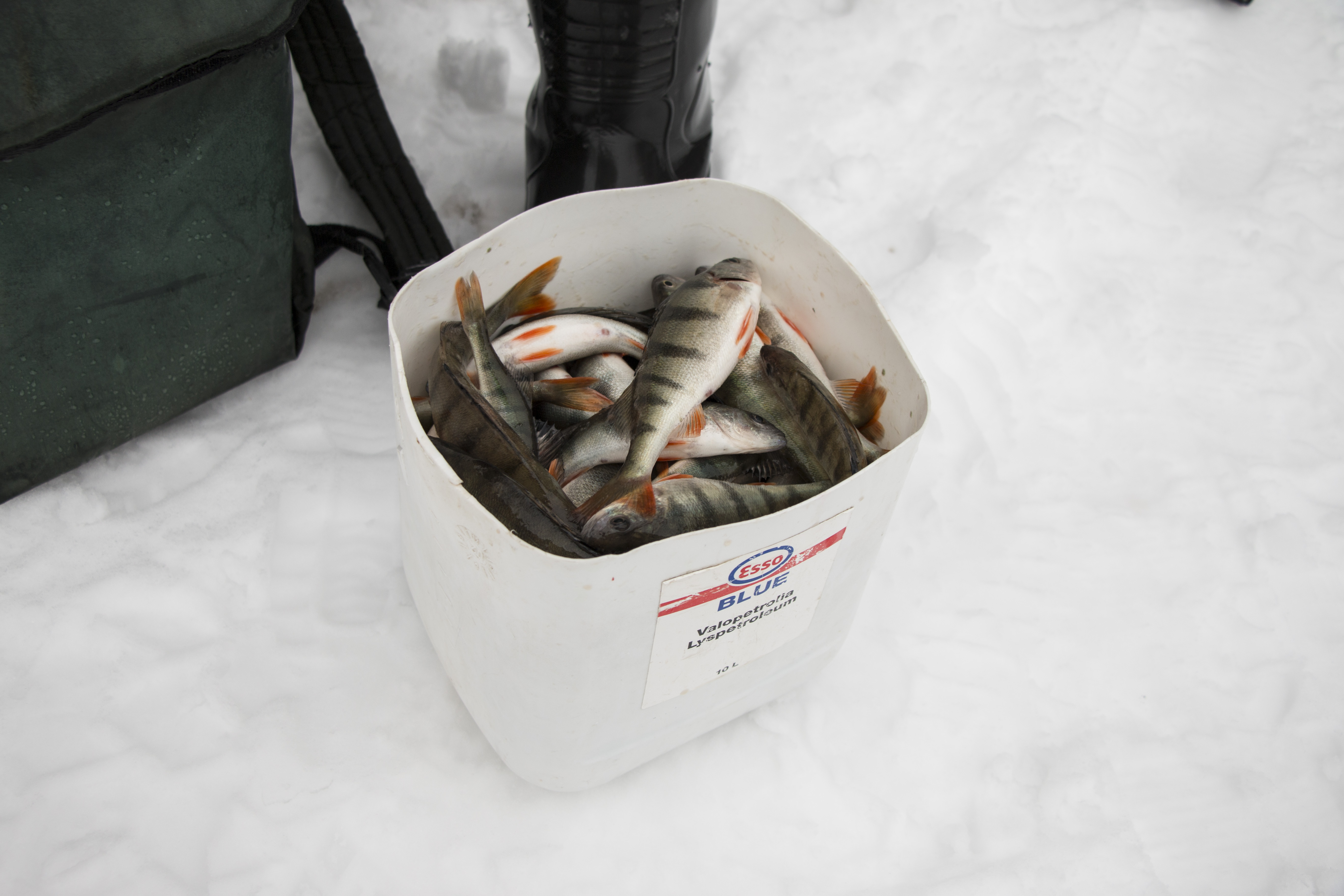 Kalastusjärjestön edustaja toivoo, että kalastajat toimisivat vastuullisesti ja hyödyntäisivät saaliiksi saamansa kalat.
