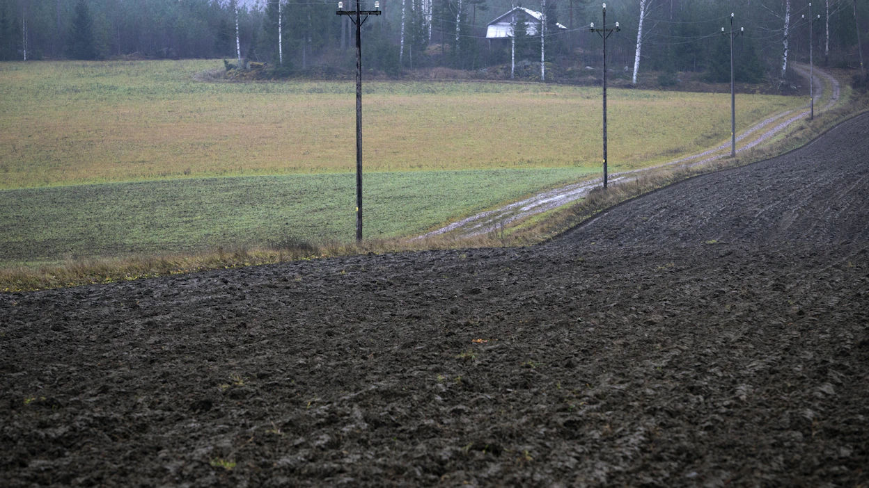 Sateinen syksy hidasti sadonkorjuuta ja lyhensi syysviljojen kylvöön sopivaa aikaa.