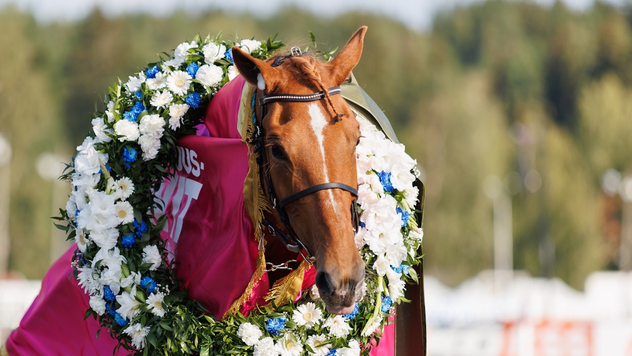 Lumi-Oosa sai kaulaansa kuningattaren seppeleen Kouvolassa vuonna 2023.