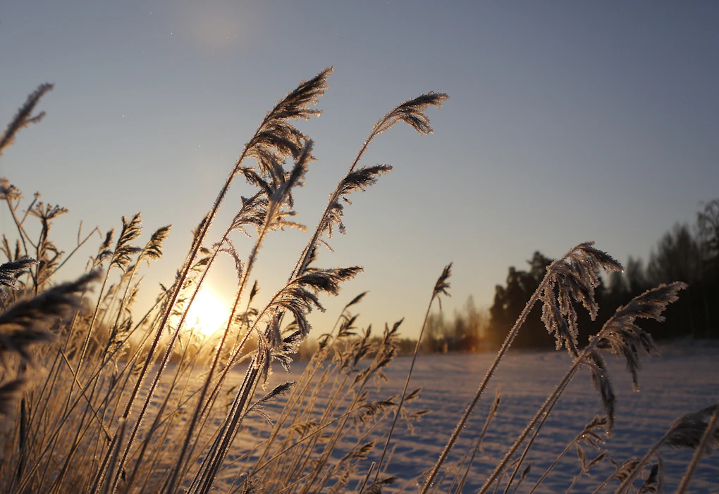 Keskiviikon vastaisena yönä länsirannikolle voi mereltä saapua yksittäisiä lumikuuroja. Pilvisyys runsastuu etelässä ja pohjoisessa.