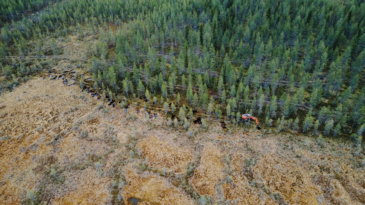 Vedenpinnan nousu hidastaa puuston kasvua ennallistetun suon ja talousmetsän reunavyöhykkeellä. Muualla talousmetsässä vaikutus kasvuun jää pieneksi.
