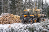 Metsät pysyvät edelleen Suomen hyvinvoinnin tukijalkana.