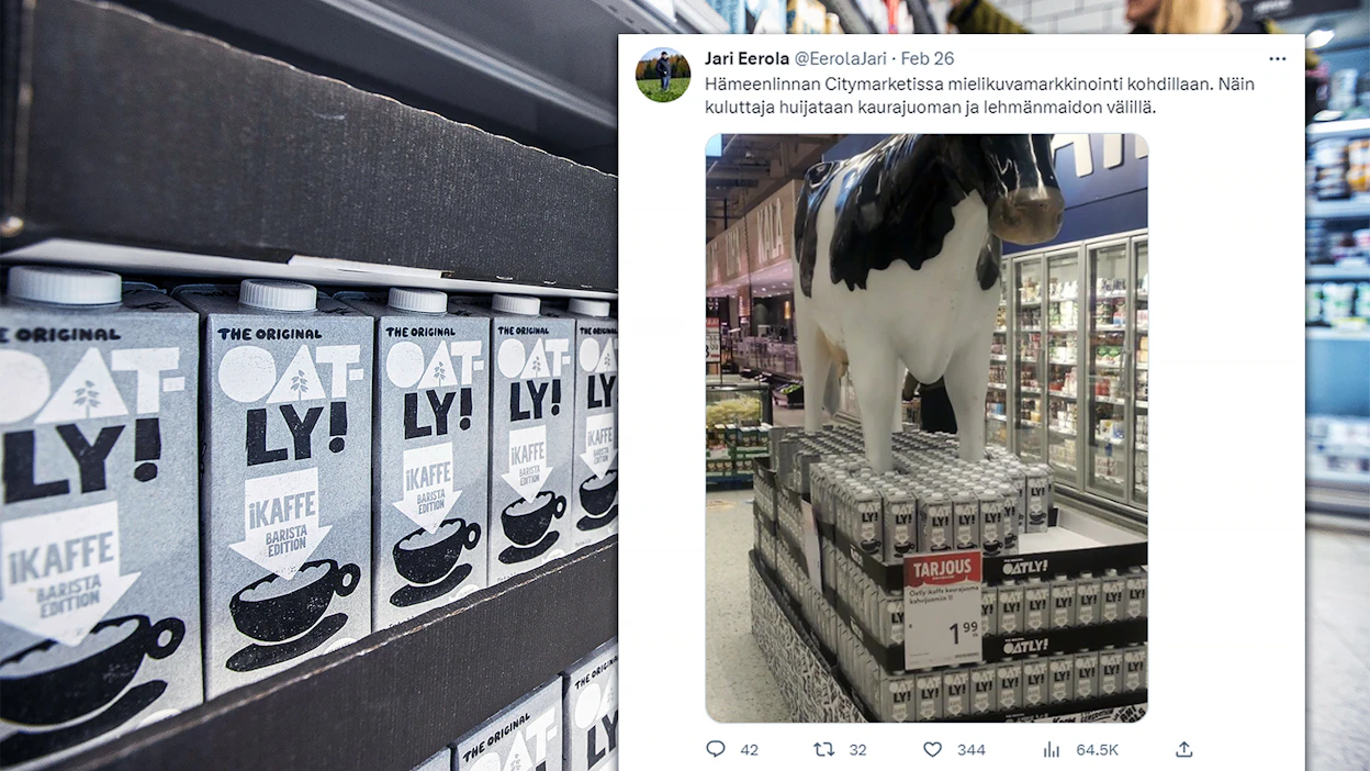 Lehmä mainosti kaurajuomaa hämeenlinnalaisessa Citymarketissa.