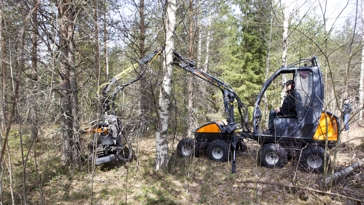 Hoitotyöt käynnissä. Ministeriön kokeilussa halutaan kannustaa lehtipuiden säästämiseen hoitokohteissa. Kuvituskuva.
