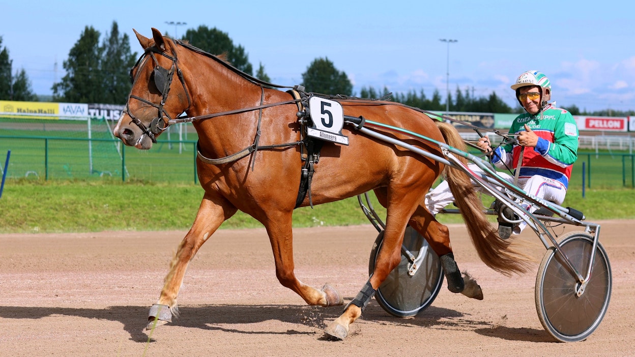 Fraasia on startannut urallaan 12 kertaa totosijoin 0-3-1. Tamman ennätys on täyden matkan tasoitusajosta edellisessä startissa Killerillä juostu 31,3. Kuvassa ohjaksissa on Markku Hietanen.