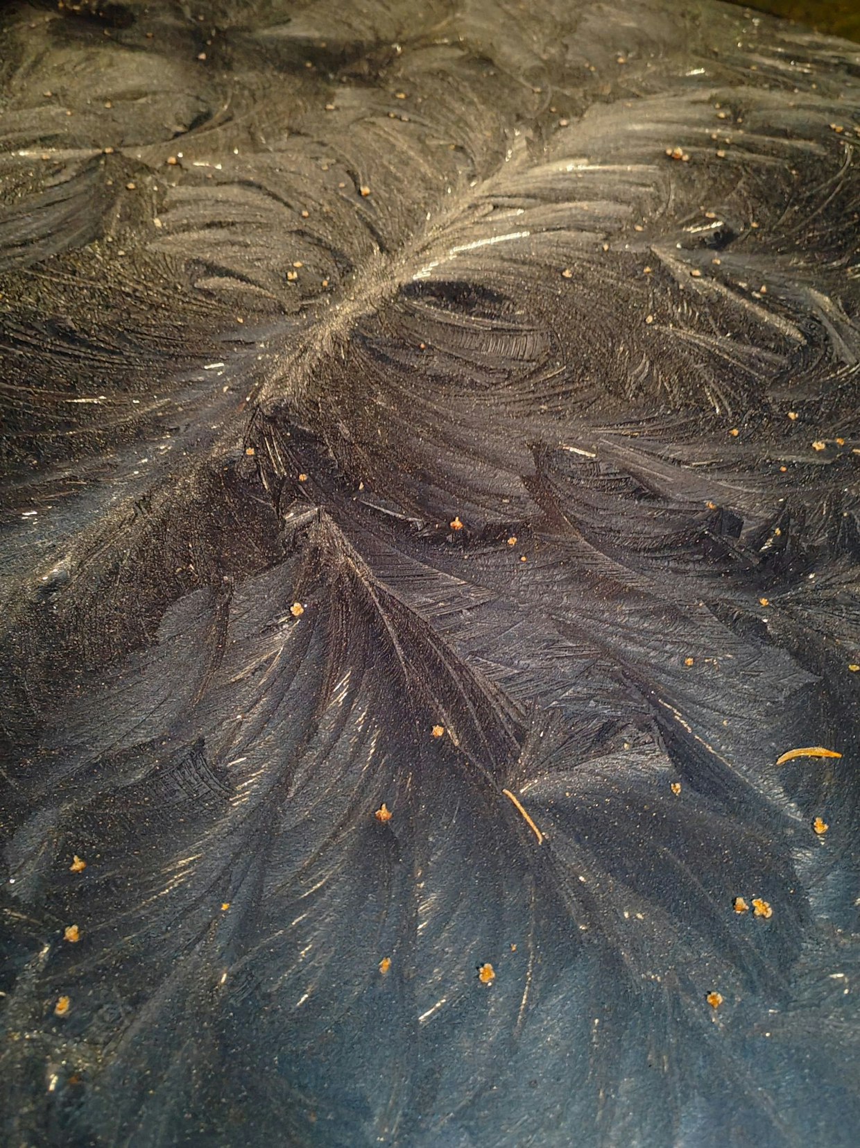 ”Kuin linnun sulkia”, kuvailee kuvan ottaja facebookissa.