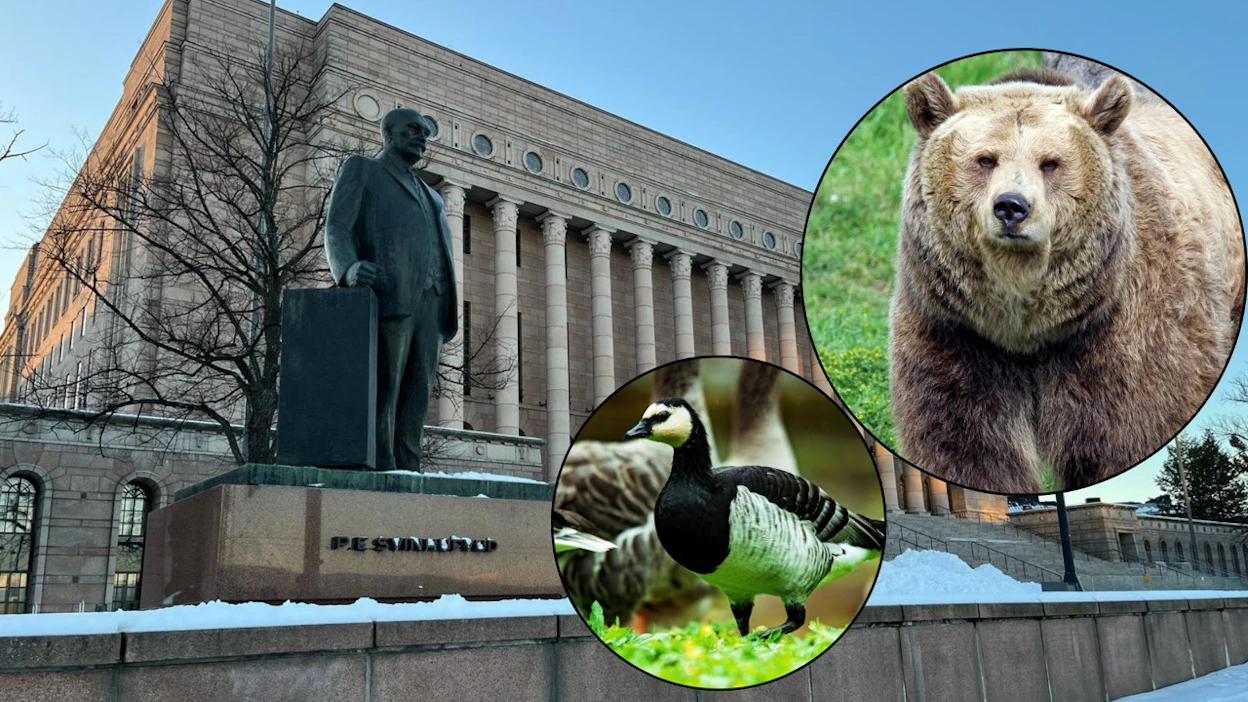 Itäsuomalaiset jättivät hätähuutonsa itäsuomalaisen maatalouden puolesta kansanedustajille tiistaina.