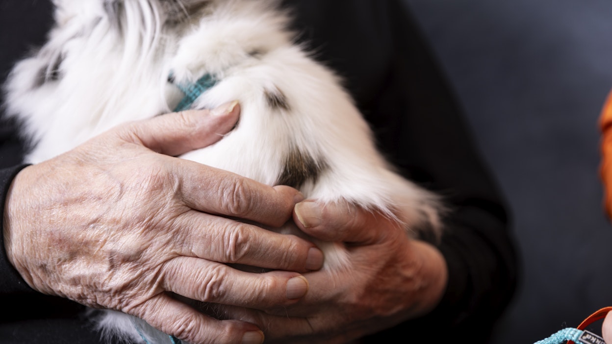 Lemmikkieläin saattaa olla iäkkään ihmisen tärkein ystävä.
