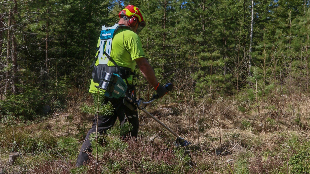 Akkuvoimaiset työlaitteet tekevät tuloaan metsiin. Makitan uudessa XGT-mallistossa on nyt yleisraivaussaha, jonka voi varustella metsäkäyttöön.