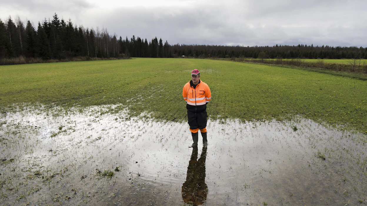 Maanantaina Pattijoen tulva oli jo laskenut, mutta Jaakko Nivalan syksyllä kylvämä ruispelto oli edelleen osin lammikoina.