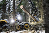 Metsäteollisuus ry:n jäsenet tekivät puukauppoja yksityismetsissä viime vuonna kolme prosenttia vähemmän kuin edellisenä vuonna.