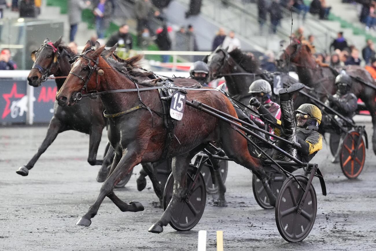 Inmarosa ilmoittautui mukaan keskusteluun maailman tämän hetken parhaasta tammaravurista.