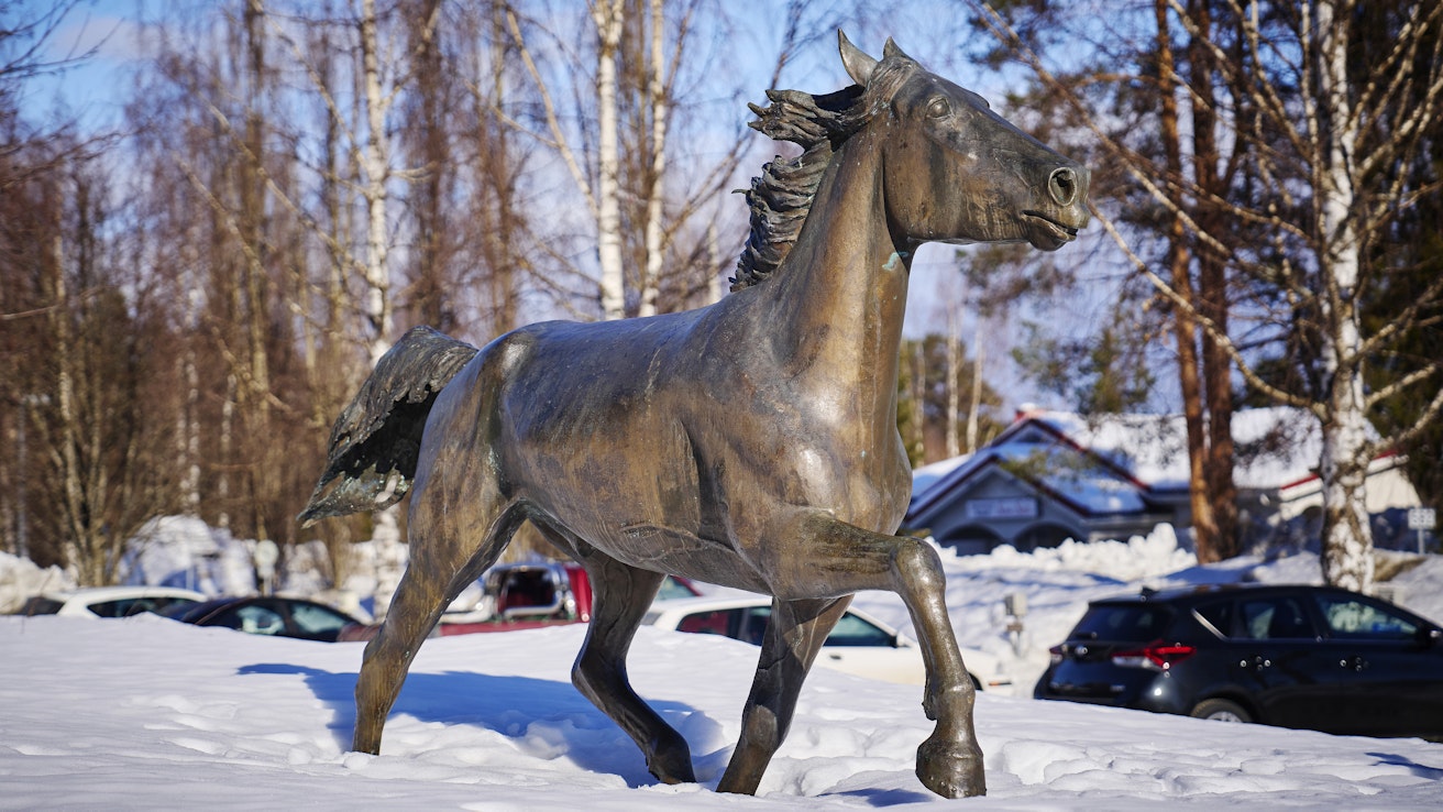 Varpaisjärven kylän ainoa patsas on omistettu Ruuna Reippaalle. Patsashankkeen vireille laittoi LC Varpaisjärvi vuonna 1985 ja sen rahoittamiseen osallistuivat lukuisat yhteisöt.