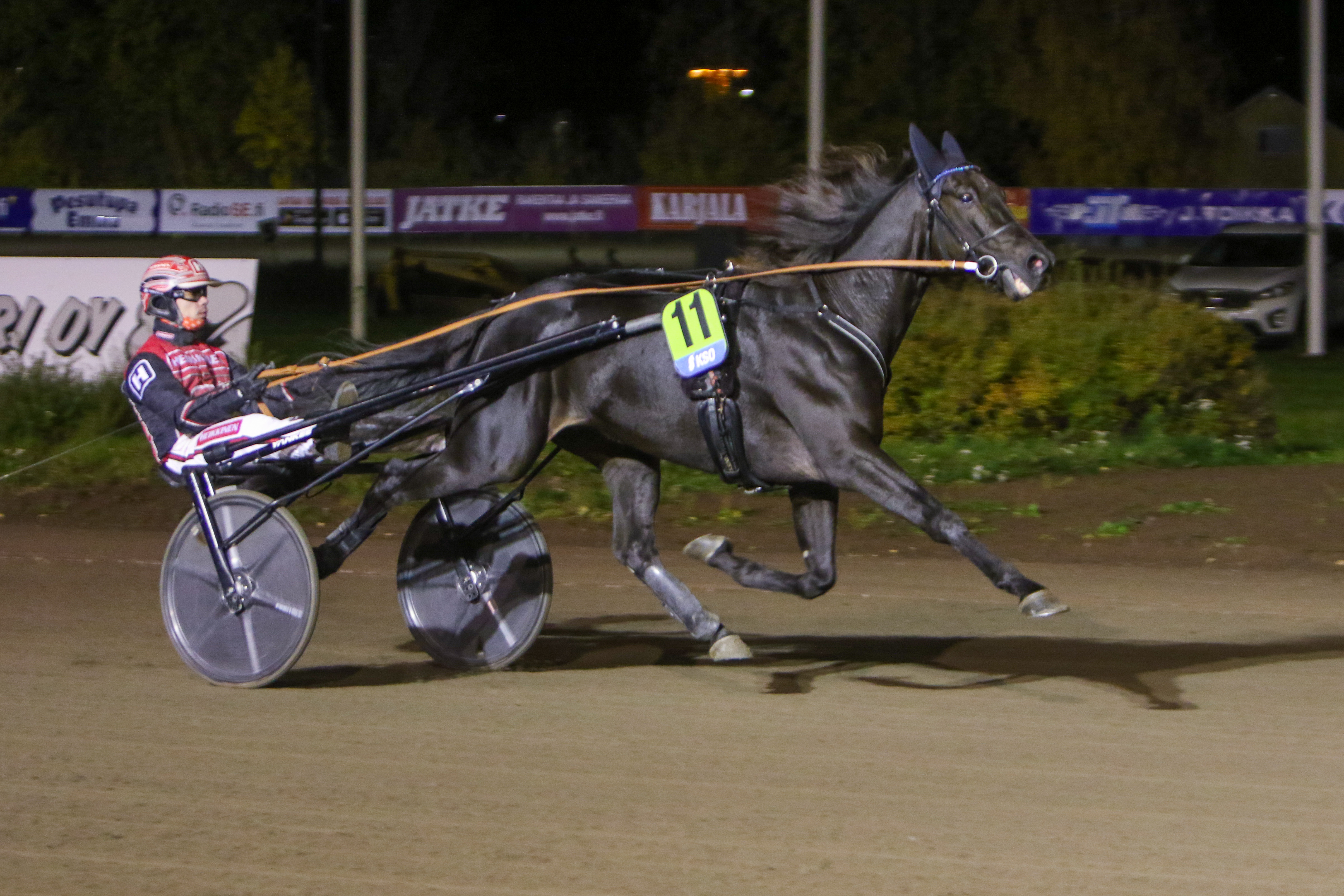Combat Fighter on lämminveristen Oulu Grand Prixin suursuosikki.