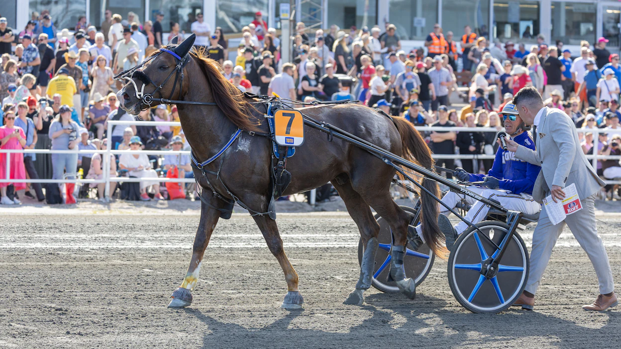 Vänrikki voitti kuninkuuskilpailun päätösmatkan Björn Goopin ohjastamana.