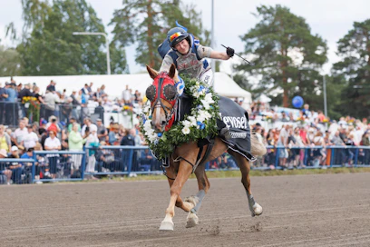 Runoneito on voittanut raviratsastuksen Suomen mestaruuden kahdesti. Kuva Kouvolasta vuodelta 2023, jolloin ratsailla oli Maija Fors.