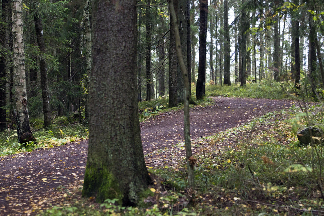 Jos metsä on kaavoitettu viheralueeksi, se ei ole metsätalousmaata, mikä estää esimerkiksi Metka-tukien saamisen.