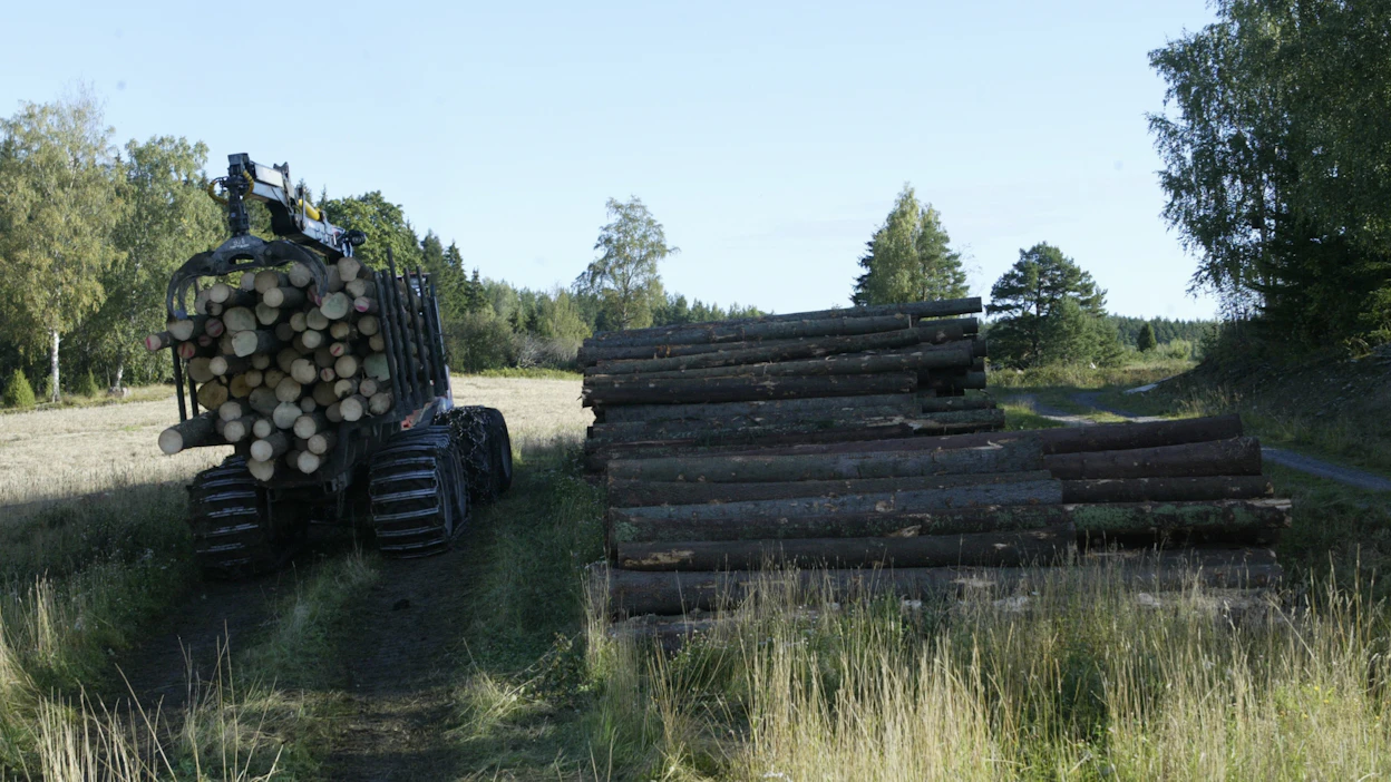 Metsätalouden osuus viljelijäperheen tuloista on kasvanut viime vuosina. Palkkatulot tai eläke on monelle tärkeä. Luken mukaan maataloustulojen osuus keskimääräisen maataloutta harjoittavan kotitalouden kokonaistuloista on laskenut 34 prosentista 24 prosenttiin vuosina 2004–2021.