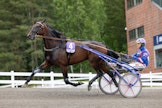 Knight Rider Hoss saa keskiviikkona toimia rivin tukipilarina.
