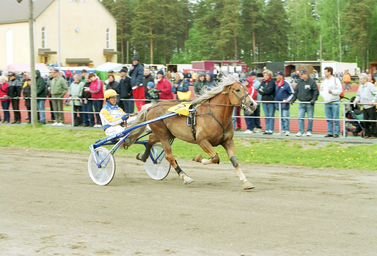 Liising oli Kortekallion perheelle tärkeä hevonen. Kuvassa huippuori voittaa Esa Holopaisen ajamana Kausalassa vuonna 2002.
