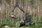 Monet puunmyyjät odottelevat alkukesää, koska silloin puusta maksetaan monesti vuoden paras hinta.