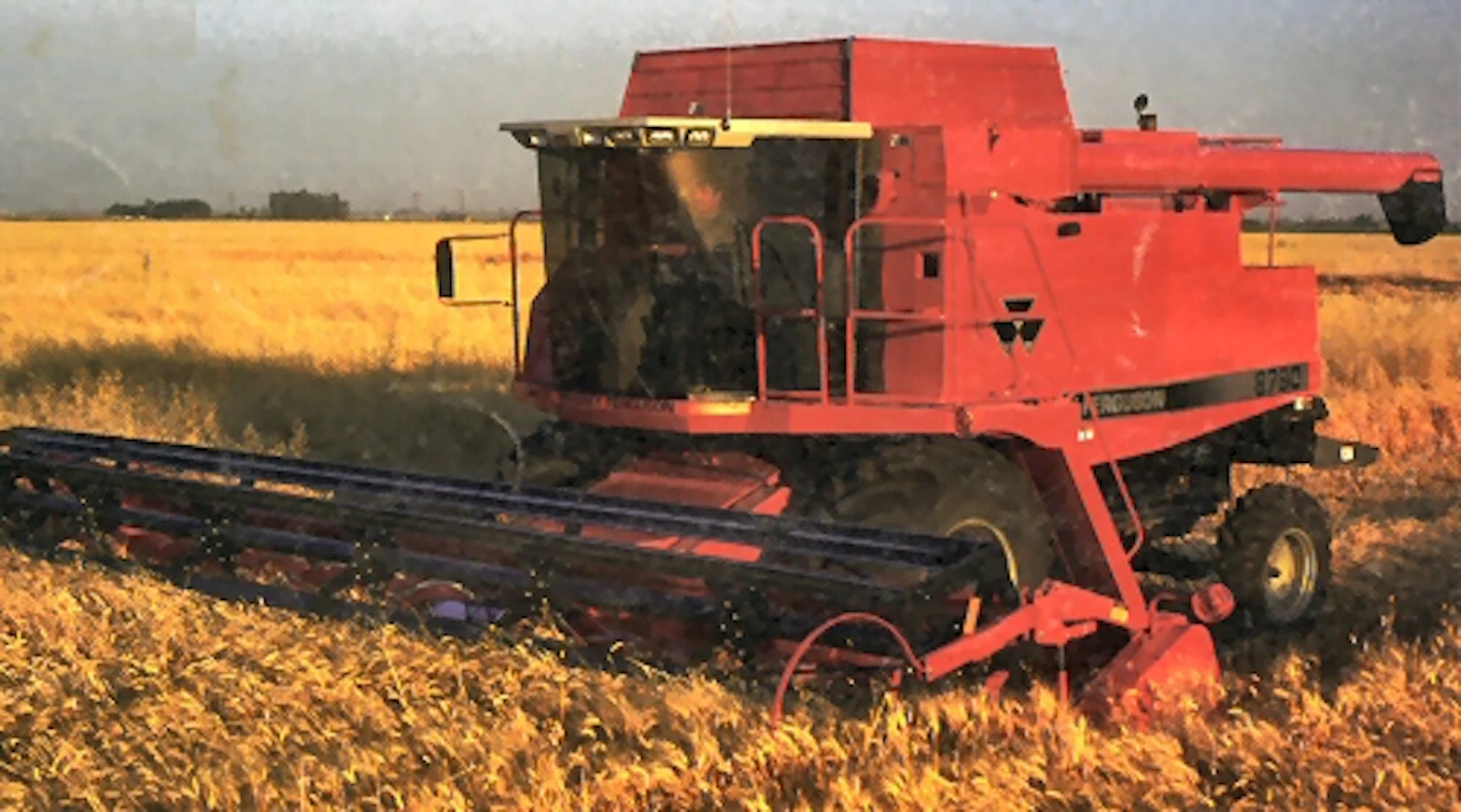97MF8780