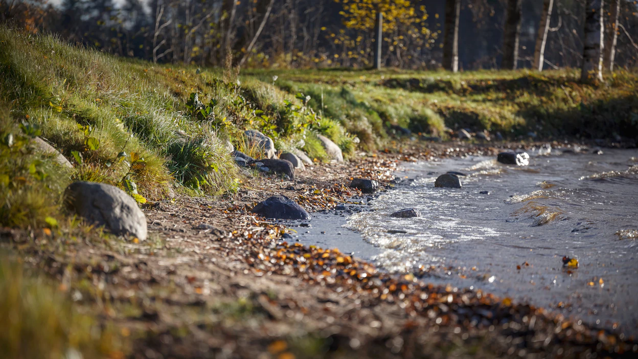 Rantaimeytyskaivojen idea on yksinkertainen. Kaivetaan kuoppa melko lähelle järveä ja asetetaan sinne kaivonrengas ja hiekkaa. Pintavesi etsii sinne reitin maakerrosten läpi.