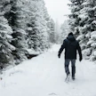 Omistaja voi käyskennellä metsissään edelleen turvallisin mielin. Metsä tuotti hyvin.