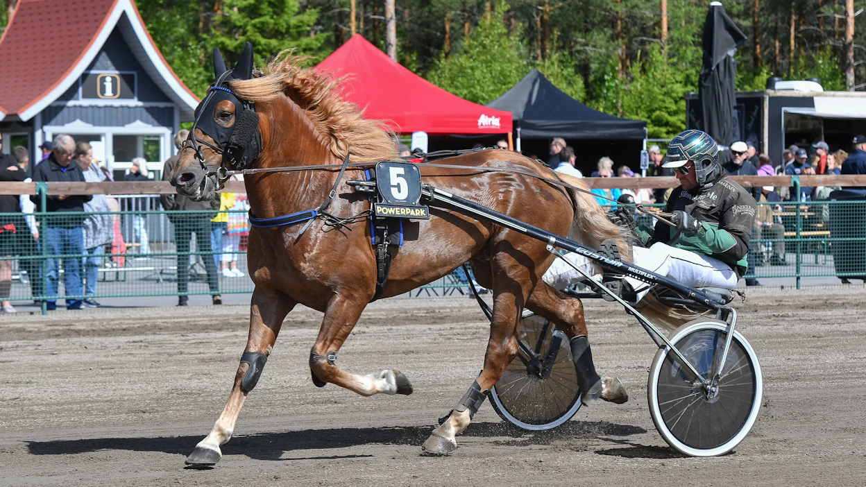 Juha-Matti Paavolan Comfortti tavoittelee Oulussa voittoa takamatkalta.