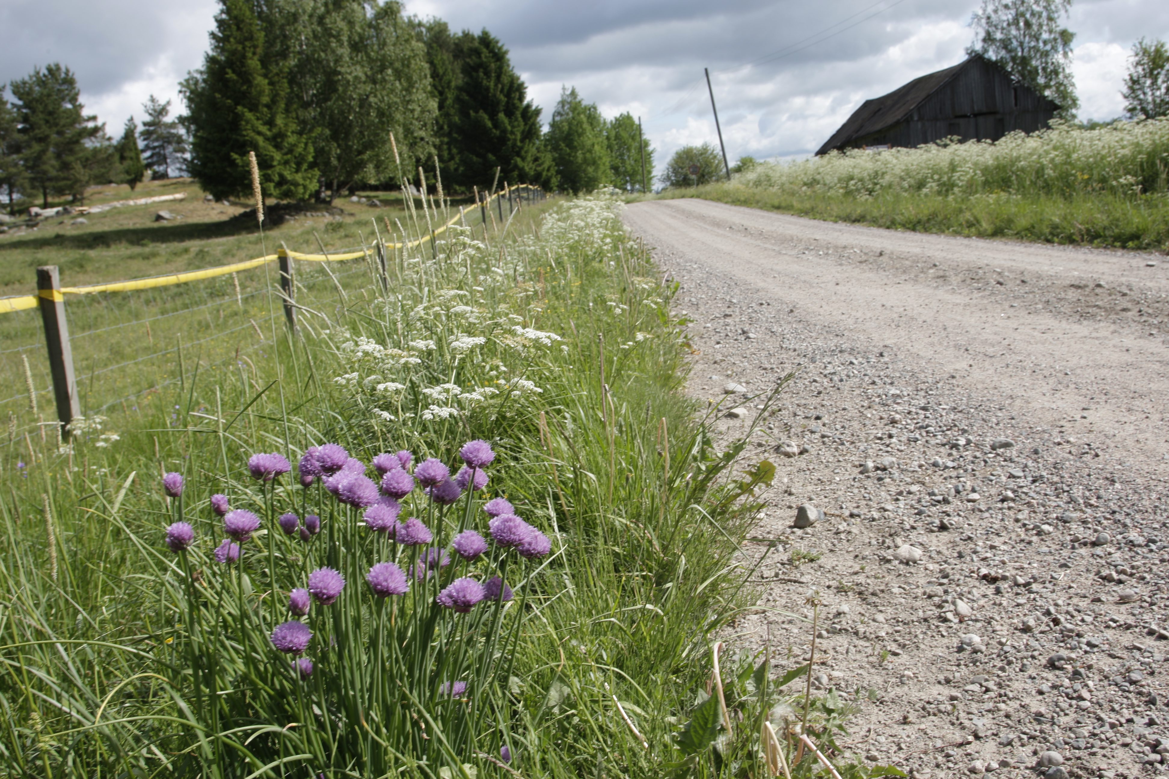 Kun tämä kansalaistaito on hankittu, nuoren vapausaste nousee ainakin maaseudulla.
