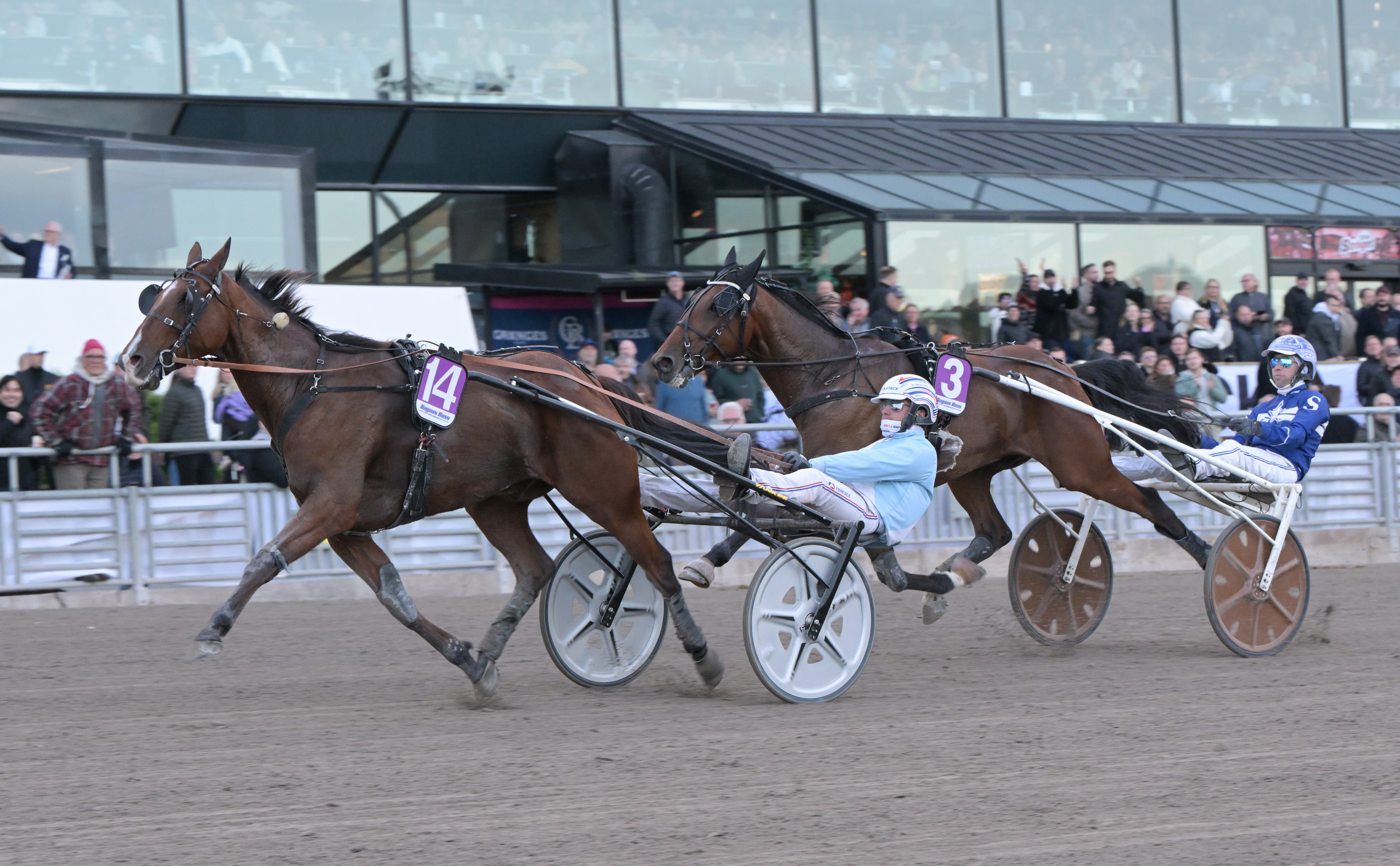 Ideal du Rocher kiri Solvallan loppusuoralla ykköseksi rattaillaan Clément Duvaldestin. 