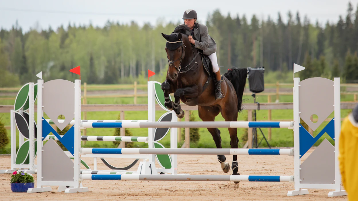 Aki Hannula kilpaili esteillä viimeistä kertaa Myrkyssä keväällä 2022, ratsuna AH Challenger.