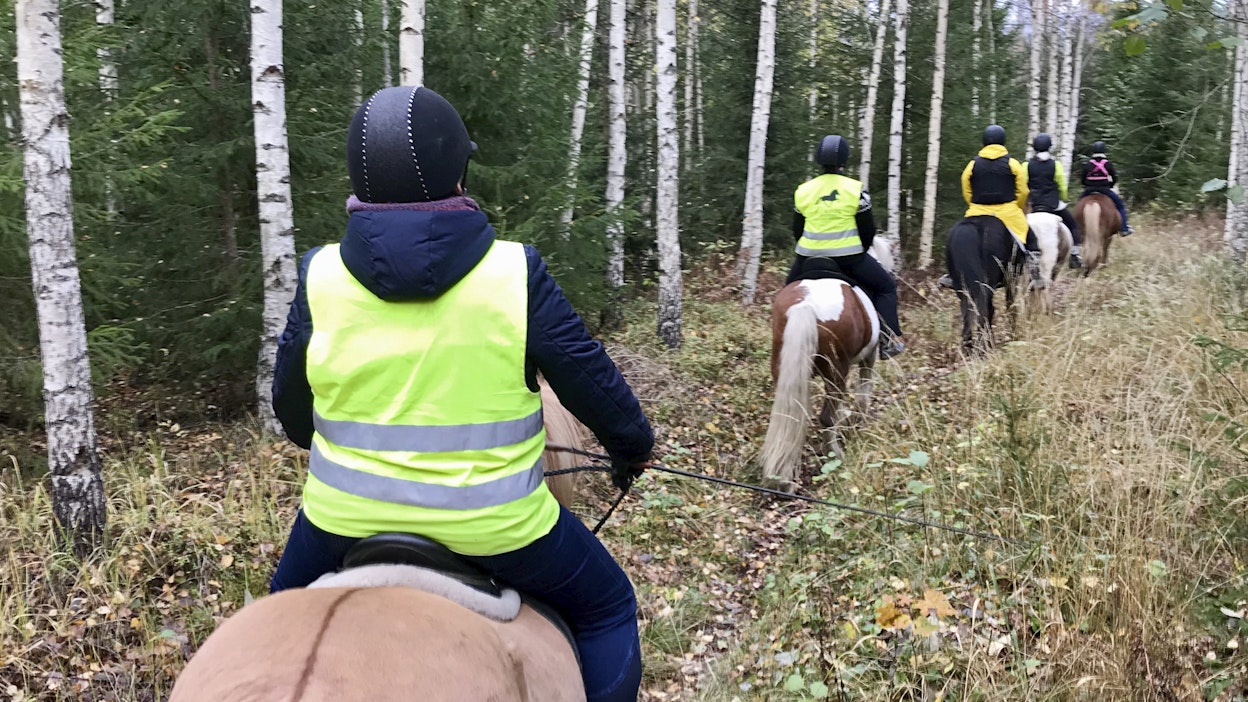 Ratsastustuntien arvonlisävero on 1.1.2026 alkaen 13,5 prosenttia nykyisen 14 prosentin sijaan.