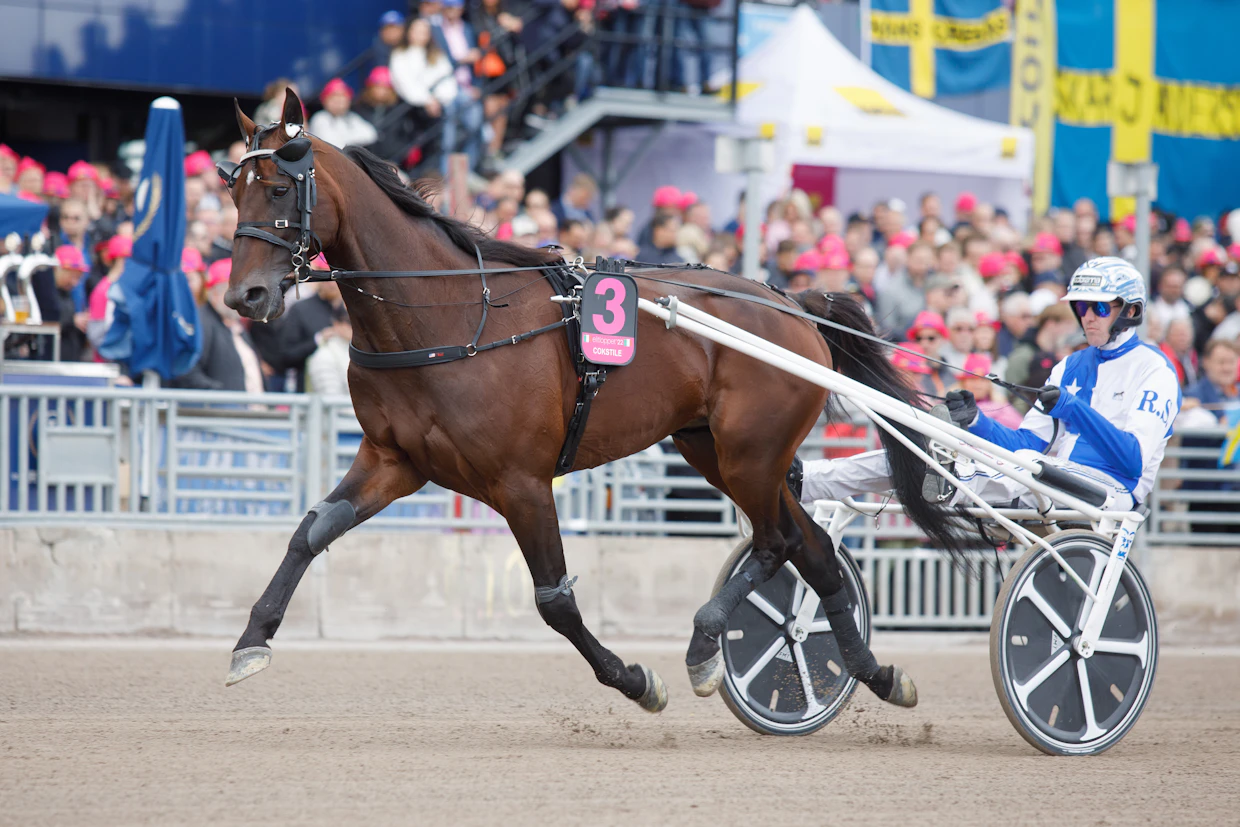 Cokstile, tässä Elitloppetissa, on historiallinen hevonen voitettuaan muun muassa kuvan kisan, Finlandia-ajon ja viime viikonloppuna Yonkers International Trotinkin. Kuvan ohjastaja Christoffer Eriksson ei liity kolumnin tapaukseen. Nimikirjaimet R.S. viittaavat omistaja Renato Santeseen.