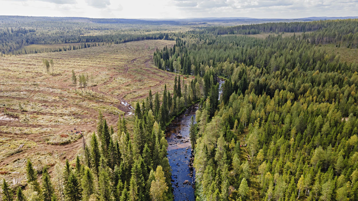 MTK:n ehdotuksen mukaan metsänomistajat saisivat puun ostajalta tarjouksen esimerkiksi suojakaistakorvauksesta, jos hakkuukohde rajautuu vesistöön. Silloin suojelukulu ei jäisi metsänomistajan kannettavaksi.