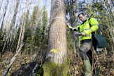 Itse sertifiointiprosessi on UPM:n yhteistyötiloille maksuton, mutta metsäsuunnitelma pitää olla, ympäristöasiantuntija Henri Koivisto kertoo. FSC edellyttää esimerkiksi yli 40-senttisten haapojen ja yksittäisten yli 60-senttisten havupuiden säästöa.