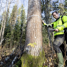 Itse sertifiointiprosessi on UPM:n yhteistyötiloille maksuton, mutta metsäsuunnitelma pitää olla, ympäristöasiantuntija Henri Koivisto kertoo. FSC edellyttää esimerkiksi yli 40-senttisten haapojen ja yksittäisten yli 60-senttisten havupuiden säästöa.