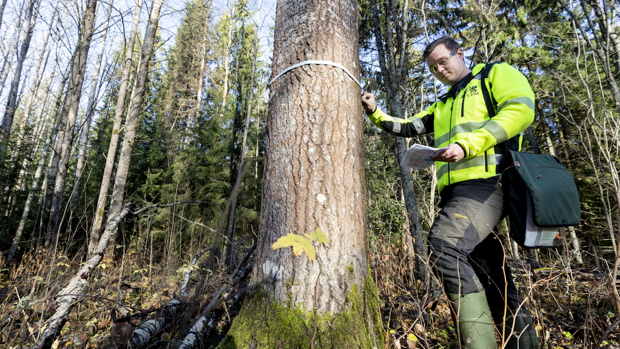 Itse sertifiointiprosessi on UPM:n yhteistyötiloille maksuton, mutta metsäsuunnitelma pitää olla, ympäristöasiantuntija Henri Koivisto kertoo. FSC edellyttää esimerkiksi yli 40-senttisten haapojen ja yksittäisten yli 60-senttisten havupuiden säästöa.