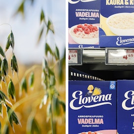 Elovena-tuotteissa kasvua oli 20 prosenttia mollivoittoisesta kulutusympäristöstä huolimatta, Raisio kertoo.