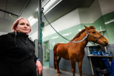 Eläinlääkäri Hanna Porthan painottaa hevosen kokonaisvaltaisen hoidon merkitystä. Usein esimerkiksi fysioterapia on tärkeä osa kuntoutumista, mutta fysiikan hoitaminen on tärkeää myös ennaltaehkäisevästi, eläinlääkäri muistuttaa. 