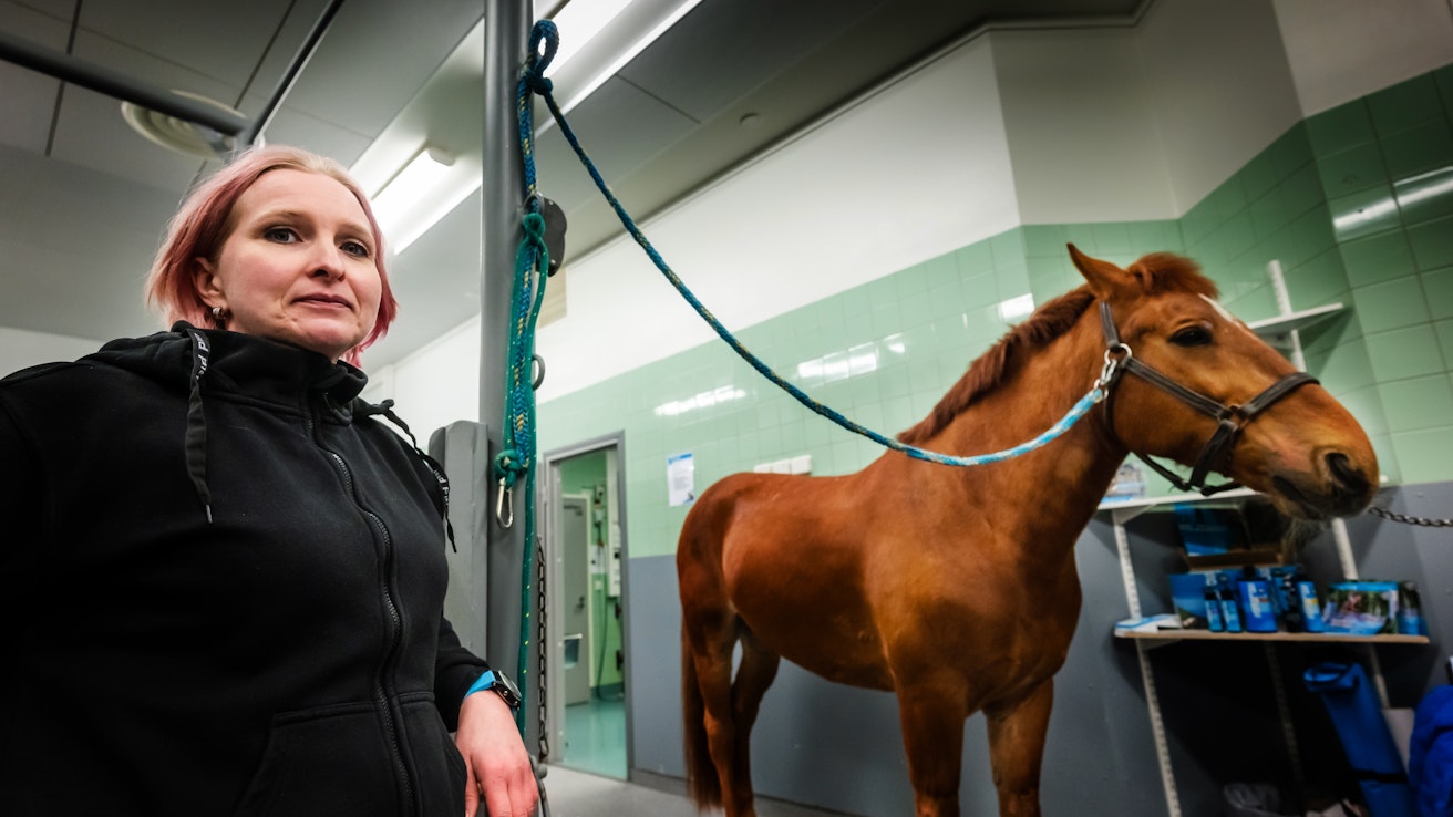 Eläinlääkäri Hanna Porthan painottaa hevosen kokonaisvaltaisen hoidon merkitystä. Usein esimerkiksi fysioterapia on tärkeä osa kuntoutumista, mutta fysiikan hoitaminen on tärkeää myös ennaltaehkäisevästi, eläinlääkäri muistuttaa. 