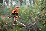Kuvan männyntaimikossa kasvoi harvakseltaan koivua. Efcon pitkävartinen yhdistelmäraivuri oli tällä kuviolla käyttökelpoinen.