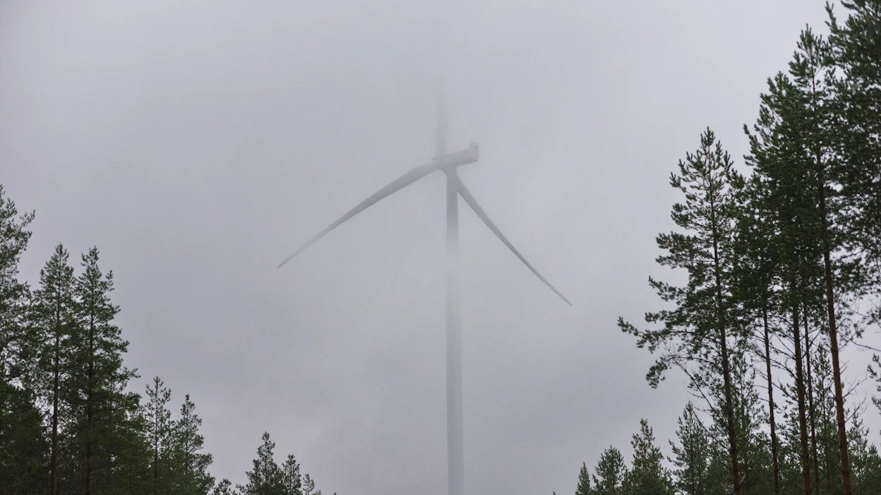 Tuulimyllyjä sijoitetaan kauas asutuksesta, jolloin siirtolinjojen tieltä on hakattava metsää.
