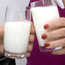 Maito sopii juomaksi lähes kaiken kanssa.